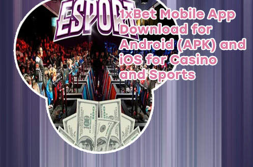 Baji bet esports review