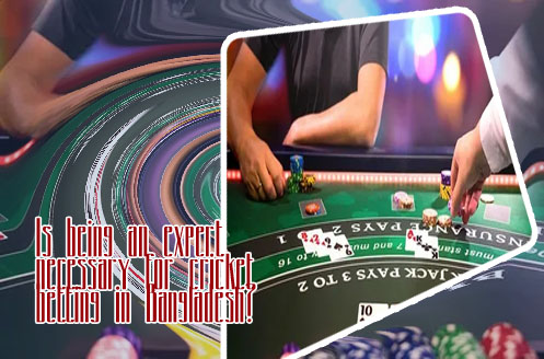 Baji bet odds feed in Bangladesh