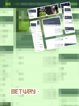 Baji bet sportsbook promo