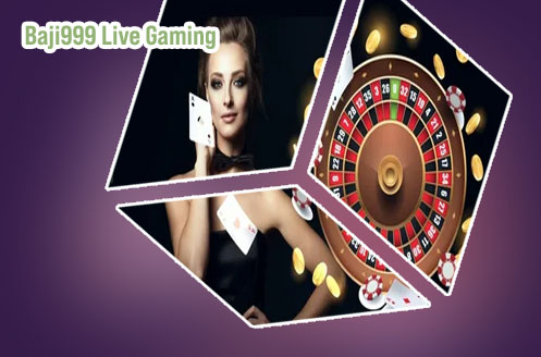 Baji999 live casino