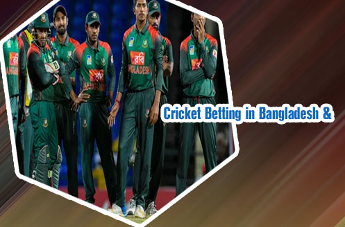 Cricket satta free tips Bangladesh